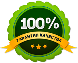 Бизнес 100 процентов. Знак 100 качество. Значок гарантия качества. Проверено 100 качество. 100 Гарантия качества.